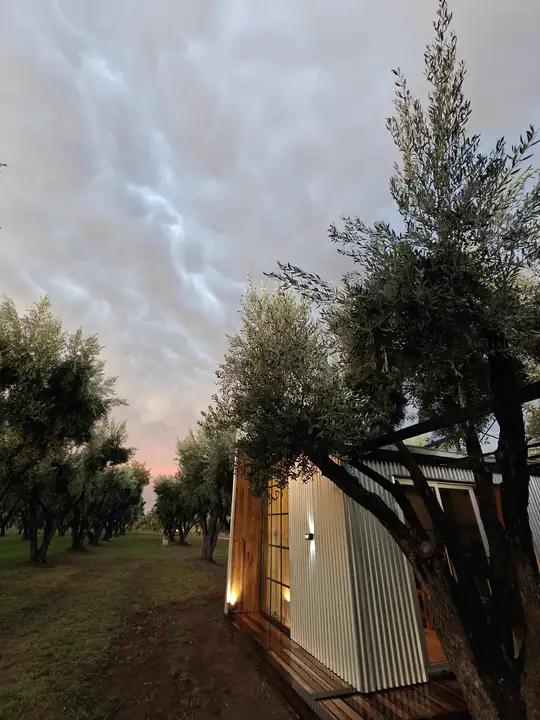 Esquina de una cabaña iluminada entre olivos al anochecer