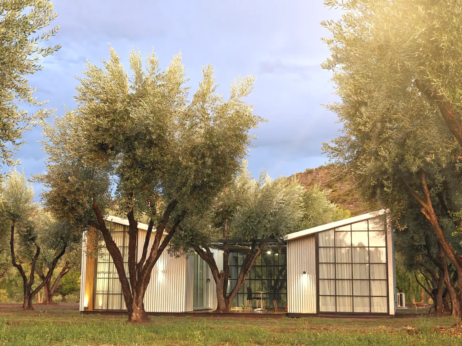 Dos cabañas de Rincón Arauco entre olivos, con las luces encendidas al atardecer